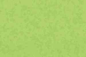 Линолеум Taralay Premium Compact Osmoz 4527 BAMBOO фото  | FLOORDEALER